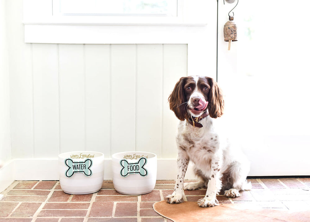 Striped Bone Mini Attachment on White Stripe Mini Bowls for Pet
