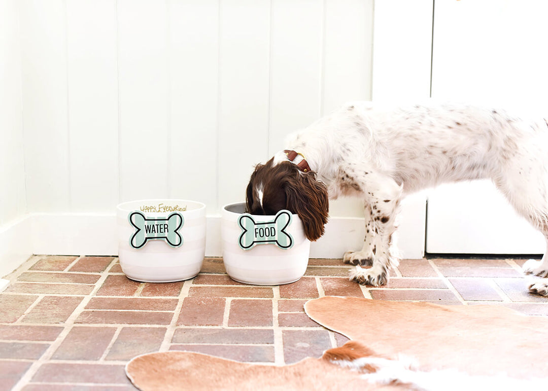 White Stripe Mini Bowls with Striped Bone Mini Attachment