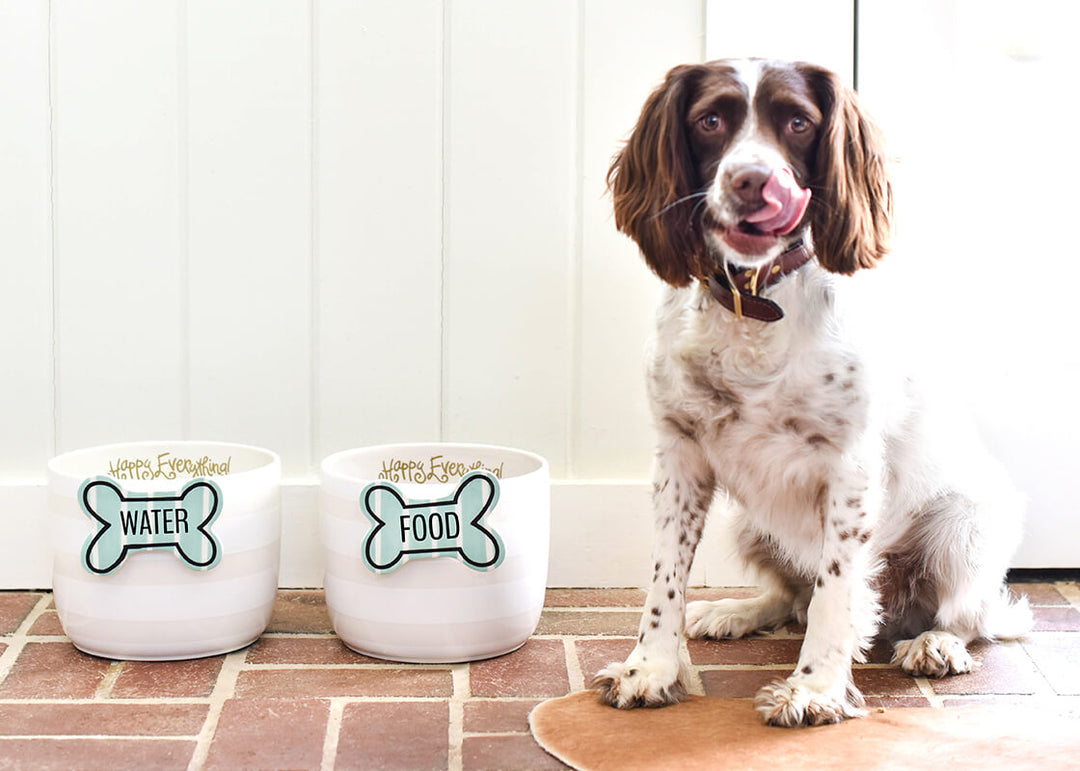 Food Station for Fido with Mini Bowls in White Stripe Design