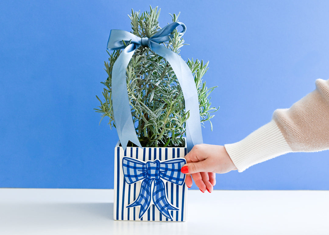 Blue Gingham Bow Mini Attachment