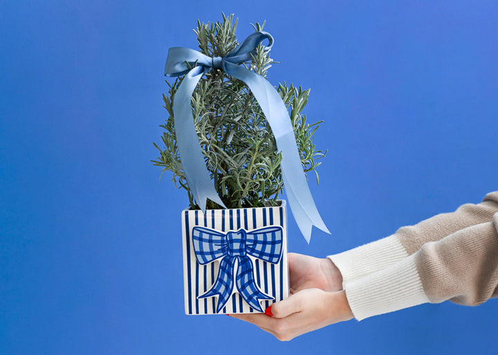 Blue Gingham Bow Mini Attachment