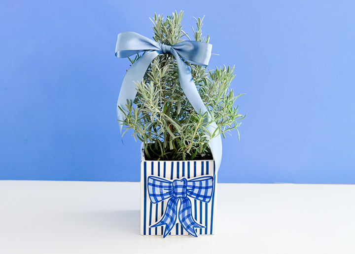 Blue Gingham Bow Mini Attachment