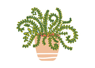 Happy Houseplant Big Attachment