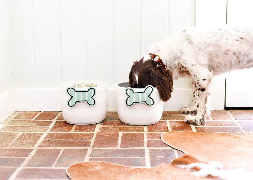 Striped Bone Big Attachment on White Stripe Big Bowls for Dog