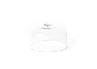 Disk Handle Small Glass Dome