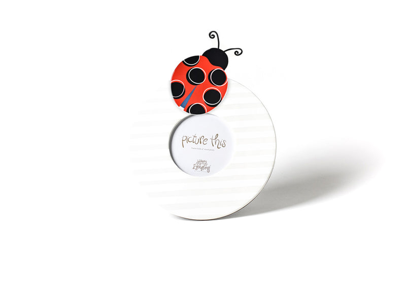 Lady Bug Attachment on Mini Round Frame White Medium Stripe Design