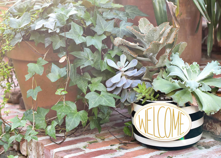 Black Stripe Big Happy Everything! Bowl Used as Planter with Welcome Big Attachment