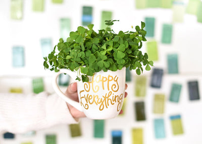 Gift White Stripe Mug with Plant