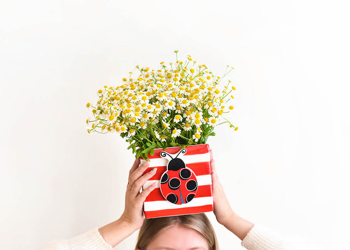 Red Stripe Nesting Cube with Mini Attachment Ladybug Design