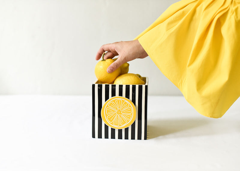 Lemon Mini Attachment on Medium Mini Nesting Cube Black Stripe Design