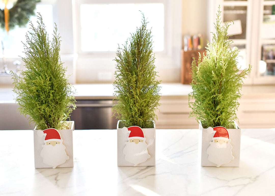 Seasonal Attachments on White Small Dot Medium Mini Nesting Cube