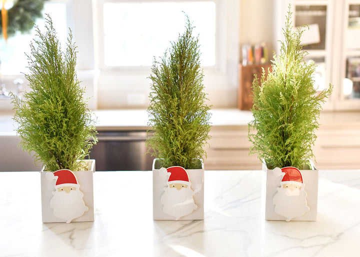 Ho Ho Santa Mini Attachment on White Stripe Mini Nesting Cubes