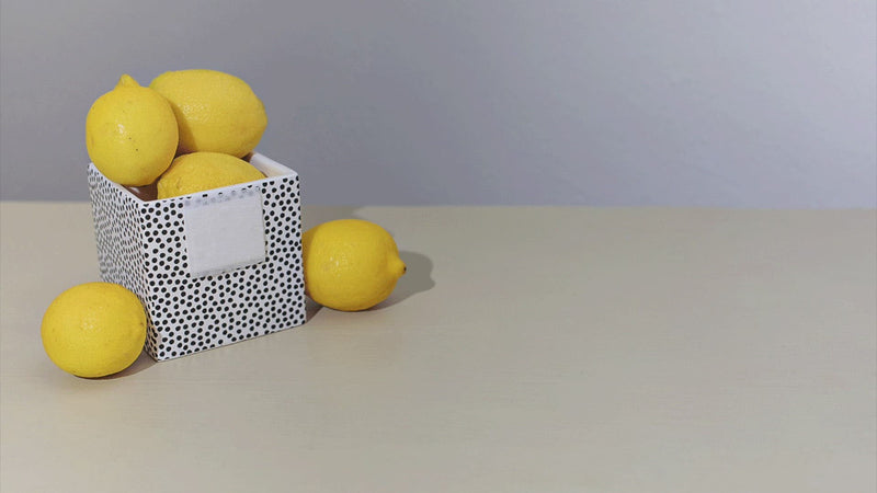 Video of Lemon Mini Attachment on Black Small Dot Small Mini Nesting Cube